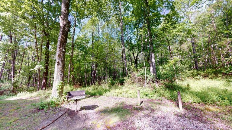 Comfort Four Cabin Comfort Four Cabin